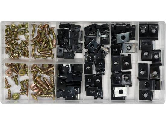 170 PCS BODYWORK NUTS AND SCREWS ASSORTMENT