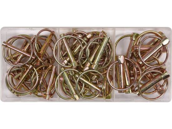 50 PCS LYNCH PINS ASSORTMENT