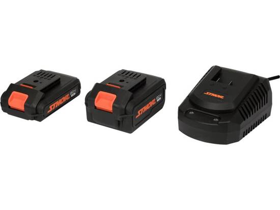 BATTERIES 2PCS WITH CHARGER SET