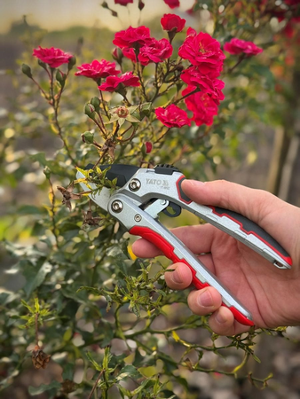 RATCHET ANVIL PRUNER 190MM WITH LOCK