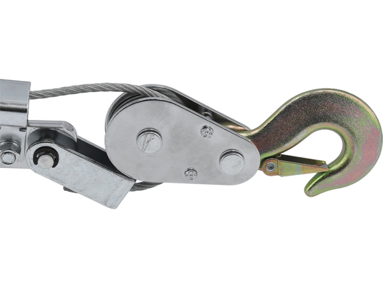 LYNĖ GERVE 1300 DAN