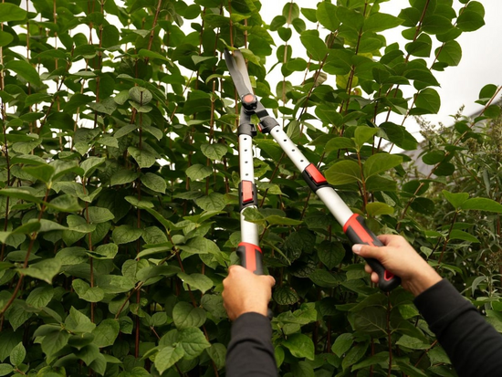 TESOURA PARA SEBES ONDULADA/TELESK/AL