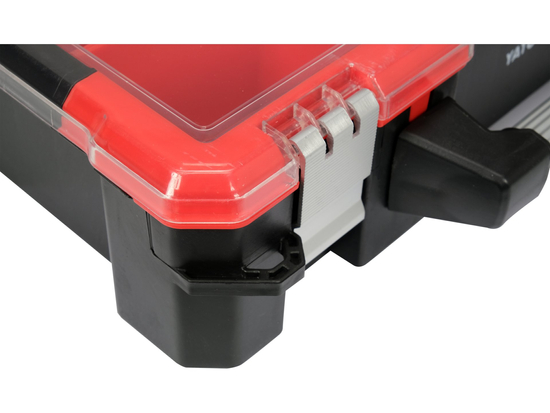 ORGANIZER WITH 12 REMOVAL BINS