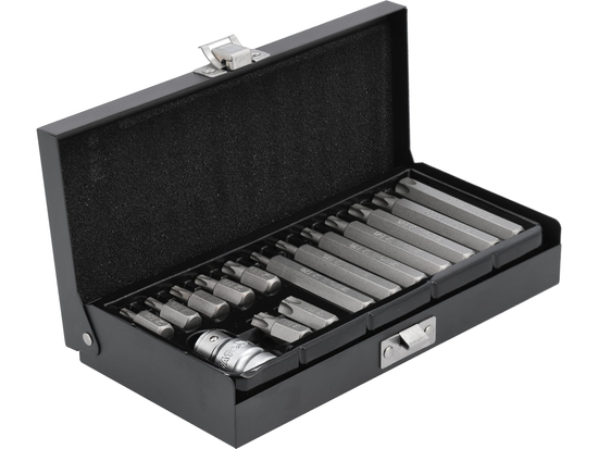 SCREWDRIVER BIT SET TORX 15 PCS