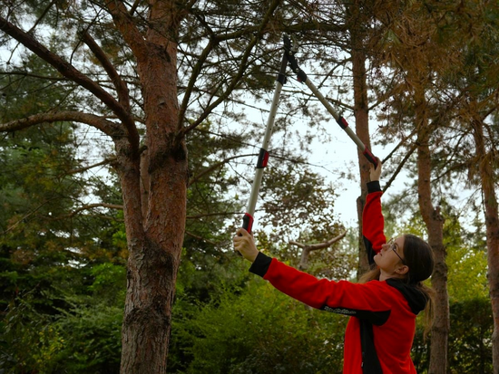 SEKATOR DO GAŁĘZI KOWADEŁKOWY Z PRZEKŁADNIĄ TELESKOPOWY ALUMINIOWY