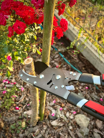 SÉCATEUR À CLIQUET/TÉLESCOPIQUE/PIÈCES EN ALUMINIUM
