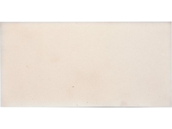 PAB CON SPUGNA DENSA 270 X 130MM