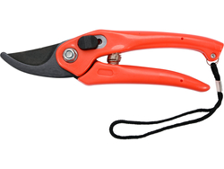 PRUNER