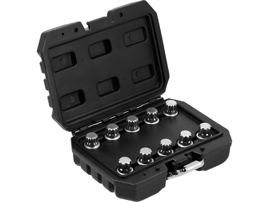 SET DI BUSSOLE PER BULLONI DI SICUREZZA BMW