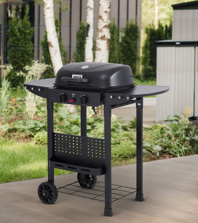 ASAHI DUJINĖS GRILĖS, 2 DEGIKLĖS, 5KW