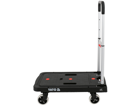 PLATFORMINIS TRANSPORTO VEIKIMAS 137 KG