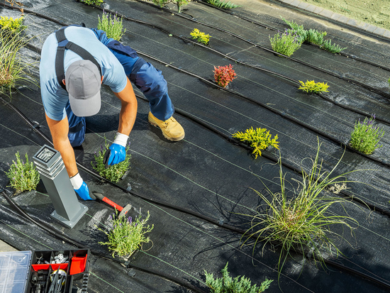 TESSUTO AGROTEX 70 GR - 1,6X50M