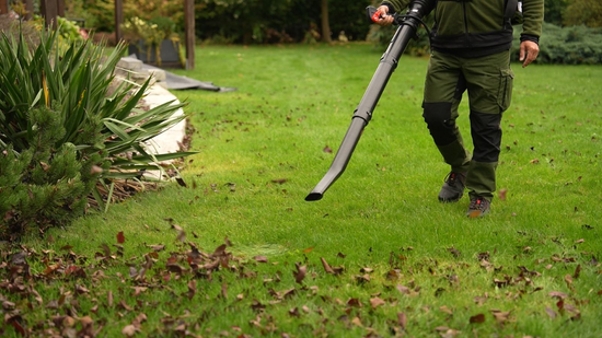 GASOLINE BACKPACK BLOWER 52CC