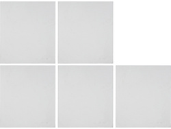OUTER COVER LENS FOR YT-73934 5PCS