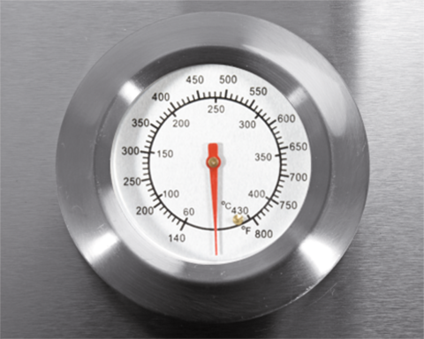 GRILL OTAKE 2W1, GAZOWY + WĘGLOWY, STAL NIERDZEWNA, 8,2KW