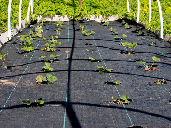 TEJIDO AGROTEX NEGRO 1.6 X 20 PESO 90G/M2