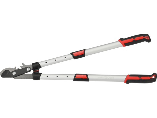 FORBICI DA POTATURA, DENTATE/TELESCOPICHE/IN LEGA