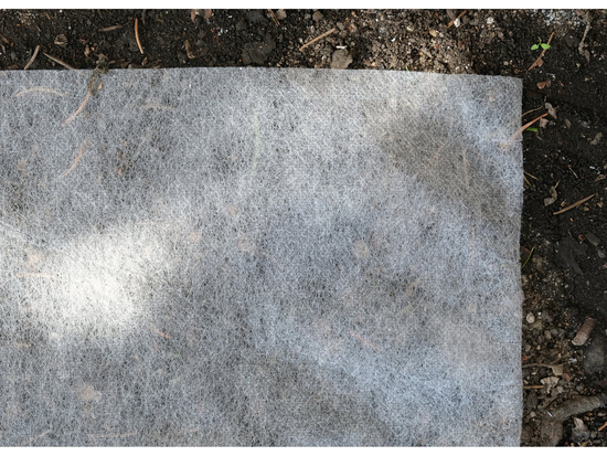 PLANT PROTECTION FLEECE 19G 1,6*50M