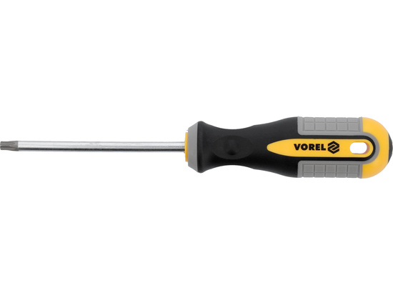 TOURNEVIS TORX T30X100 MM CRV
