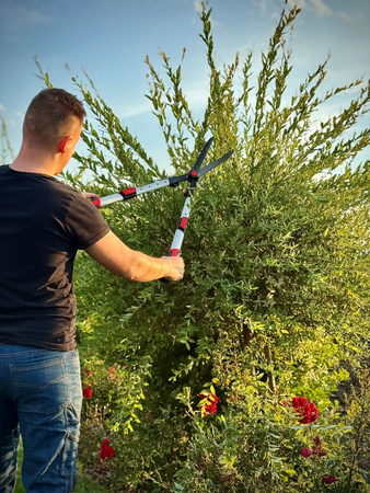 TELESCOPIC STRAIGHT CUTTING EDGE HEDGE SHEARS 660-825MM