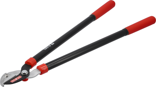 PRECURADORES DE RAMA YUNQUE 635 MM