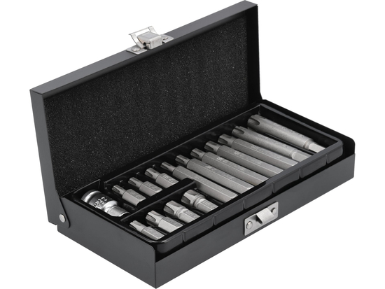 PUNTE PER CACCIAVITE RIBE, SET DA 15