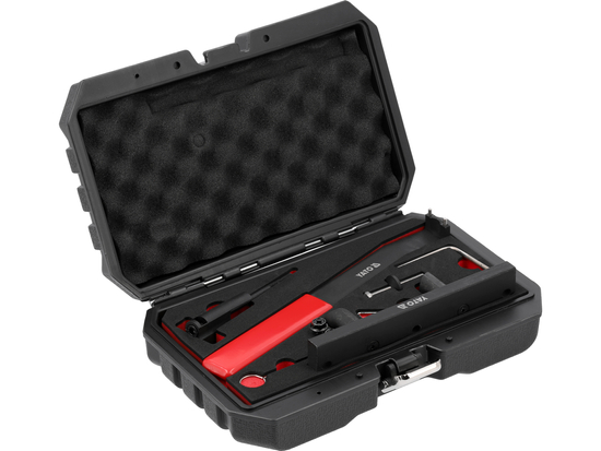 KIT DI ATTREZZI PER LA FASATURA VAG FSI/TFSI