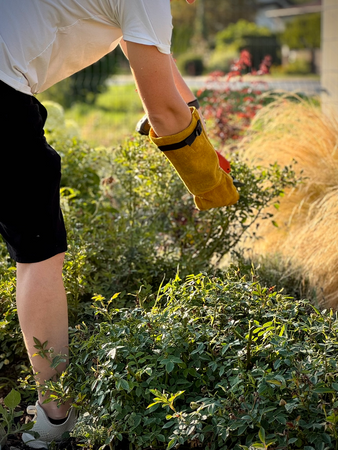 LUVAS DE JARDIM PARA ROSAS TAMANHO 10