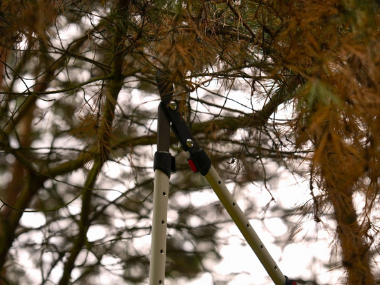 ATZAROŠANAS ŠĶĒRES KOW/PRZECZ/TELESK/AL