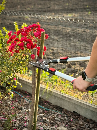 PIEZAS DE PODA DE TRINQUETE/TELESK/AL