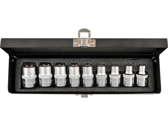 TORX LIZDO RAKTAI, DIDELIS E10-E24, 9 VIENŲ RINKINYS