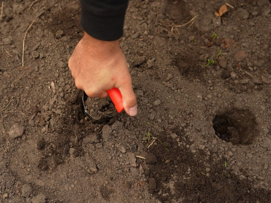 BULB PLANTER 240MM WITH STAINLESS STEEL HEAD