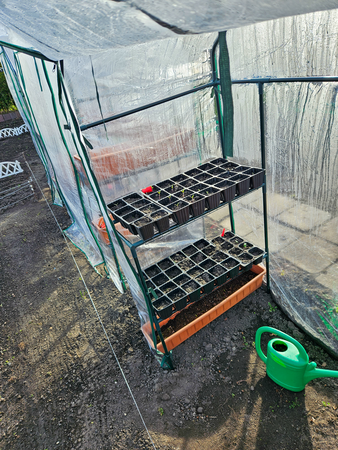 INVERNADERO DE LAMINA