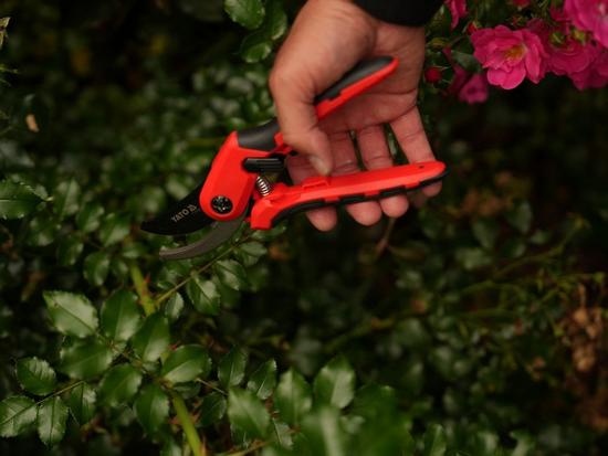 BY-PASS PRUNER 205MM WITH LOCK