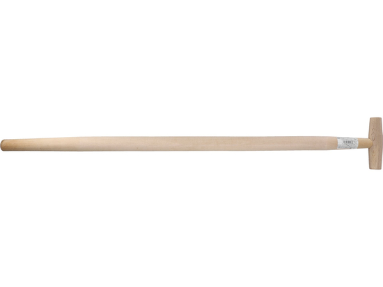 T'' RUKOVÄŤ NA RÝKY