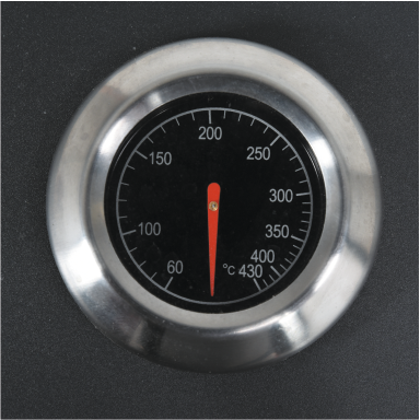 GRIL 2V1, PLYN + UHLIE TORNE 8,4KW