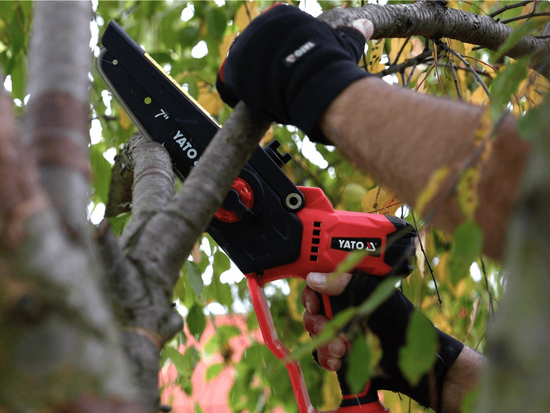 MINI CHAINSAW 20V, GUIDE BAR 7'' - BATTERY 2 AH