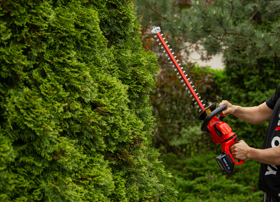 HEDGE CLIMER 18V 55 CM + 2AH + ΦΟΡΤΙΣΤΗΣ