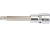 ГОЛОВКА ТОРЦЕВА З НАСАДКОЮ TORX 1/2'' T50 L100 ММ