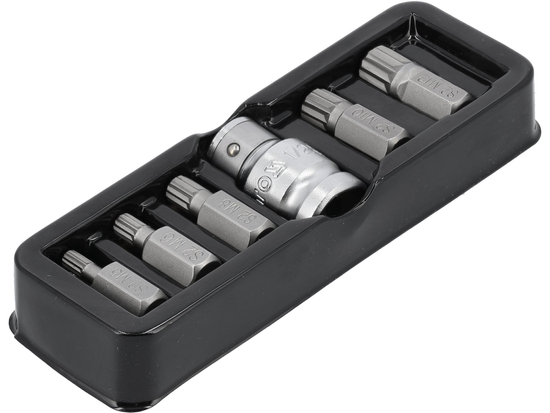 SCREWDRIVER BIT SET SPLINE 6 PCS