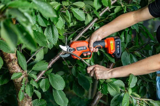 PRUNING SHEARS 18V, 30 MM, 60 CUTS/MIN - BATTERY 2 AH