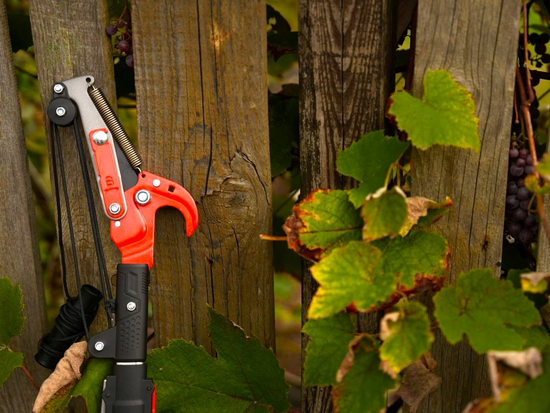 TELESCOPIC LEVERAGE TREE PRUNER 1.8M