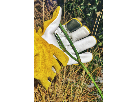 THORN PROOF GARDEN GLOVES S. 8