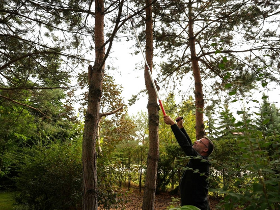 SÉCATEUR À CHENILLES TÉLESCOPIQUE DE 1,8 M