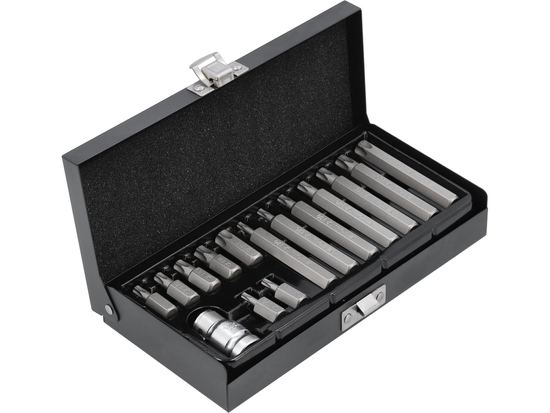 SCREWDRIVER BIT SET TORX SECURITY 15 PCS