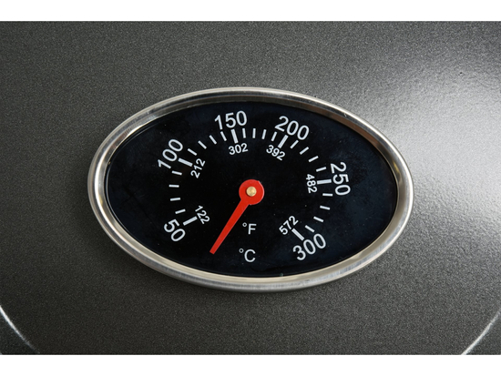 PARRILLA ELÉCTRICA 2000-2400W