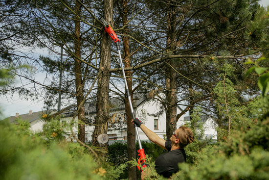 OKRZESYWARKA ELEKTRYCZNA 710W 25CM