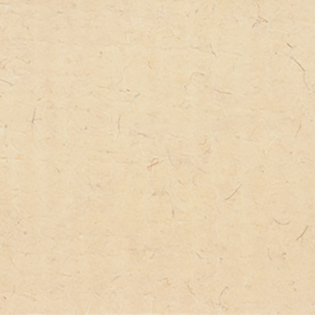 FELT FLOAT TROWEL 8MM 270X130MM