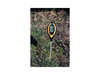 3 IN 1 SOIL SURVEY INSTRUMENT