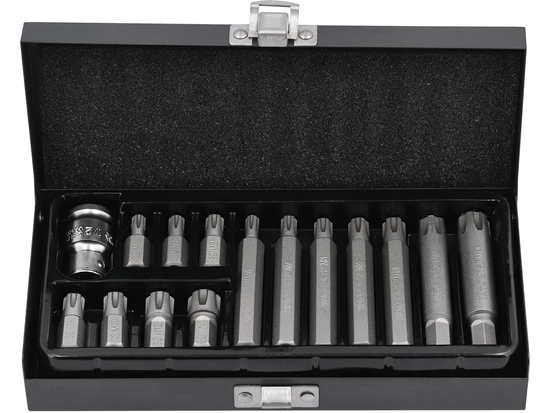 SCREWDRIVER BIT SET RIBE 15 PCS